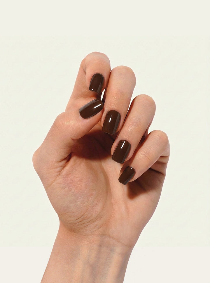 Nocturnal Brown